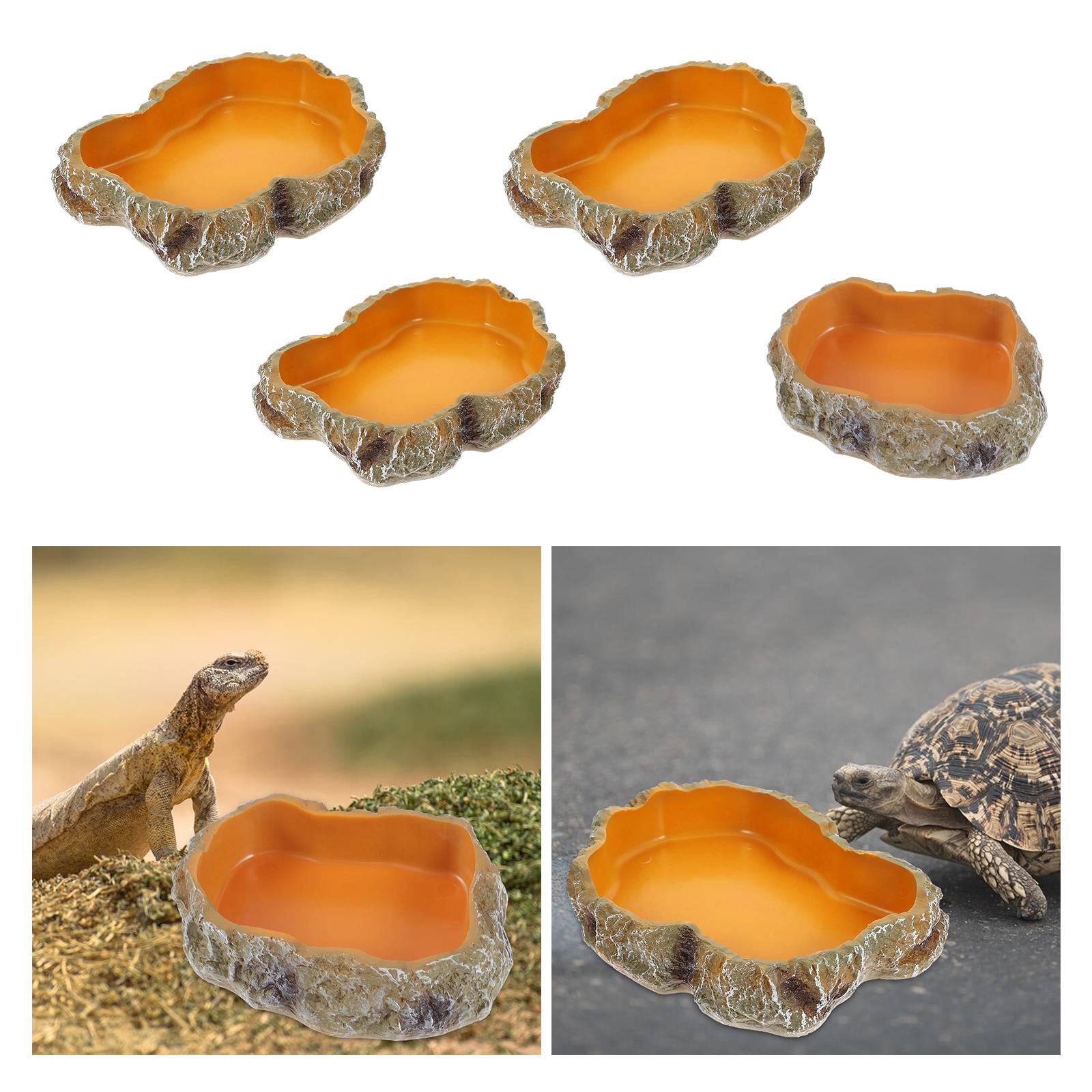 Reptile Water Bowls Decorative - Water Dish Reptile ulasan dan harga