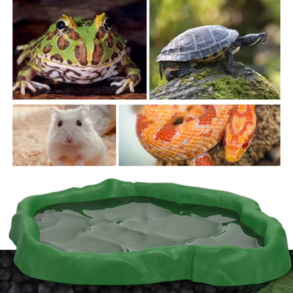 ABS Resin Reptile Feeder Bowl  - Water Dish Reptile ulasan dan harga