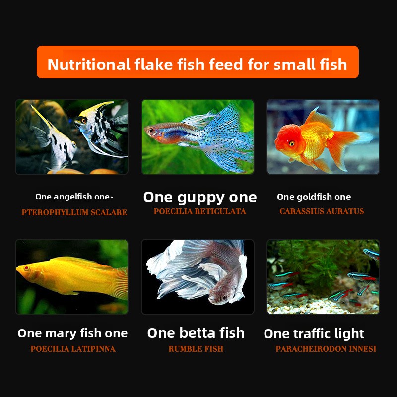 DaJiaWa Spirulina Flake Fish F - Tetra Food Tropical Flakes ulasan dan harga