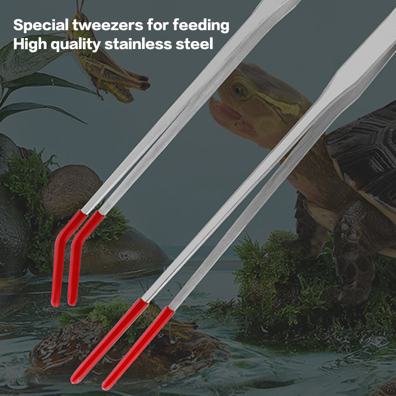 Reptile Feeding Tongs with Rub - Feeding Tong Stainless ulasan dan harga