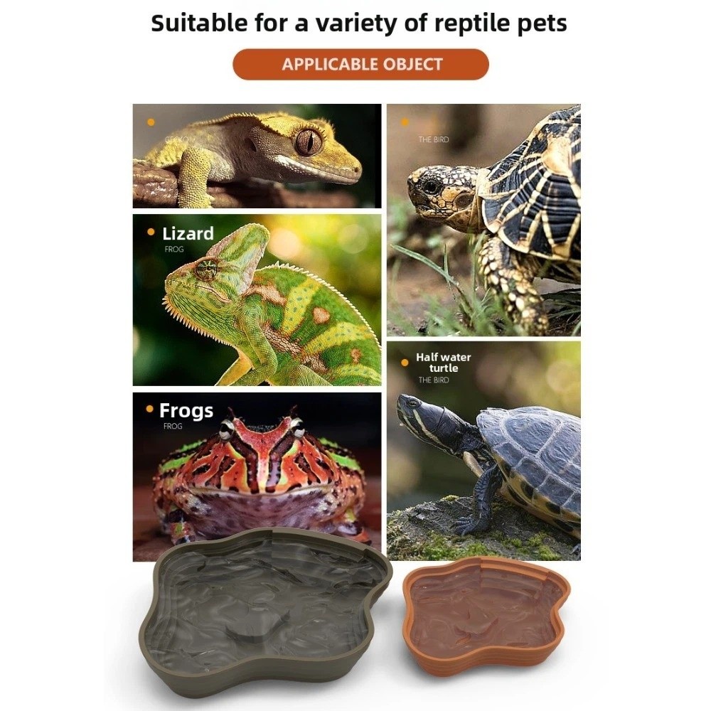 New Plastic Turtle Water Basin - Water Dish Reptile ulasan dan harga